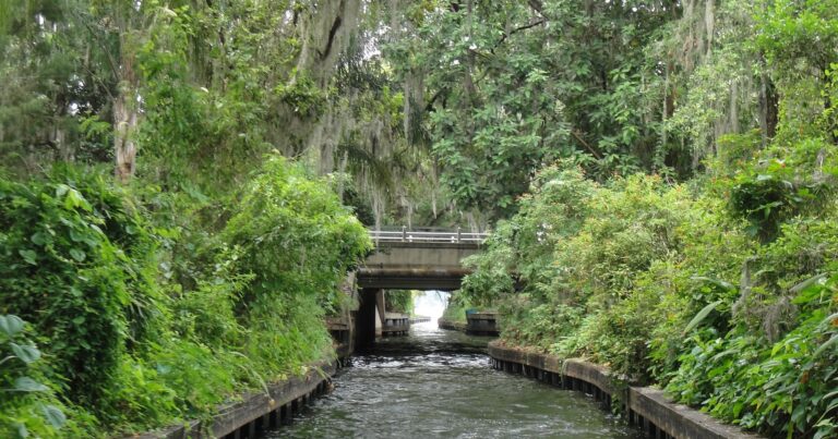 Downsizing From a Long-Held Central Florida Home? Take Your Save Our Homes Benefit With You